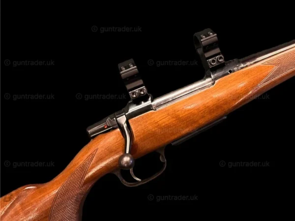 CZ 550 Standard | .22-250 | D1934 - Image 2