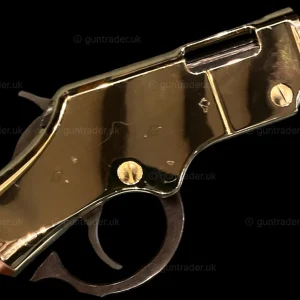 Henry Repeating Arms Golden Boy | .17 HMR | GB029764V